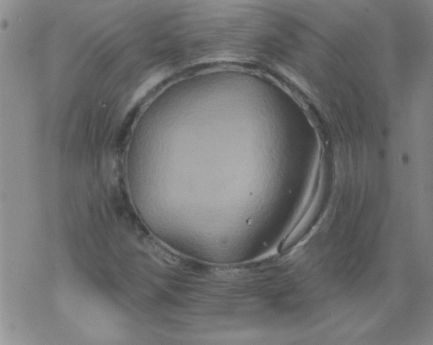 X0000075901258200609221928