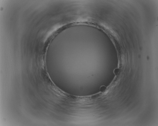 X0000075901262200609221928