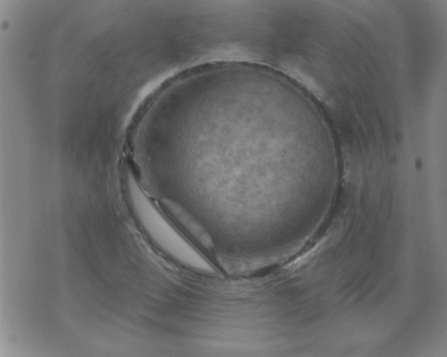 X0000075901264200609221928