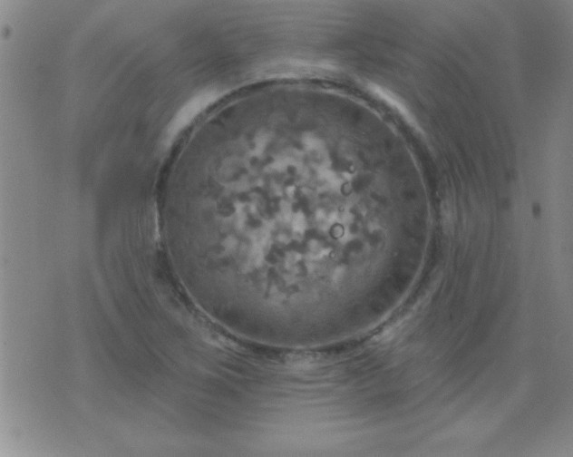 X0000075901267200609221928