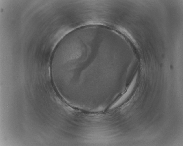 X0000075901268200609221928