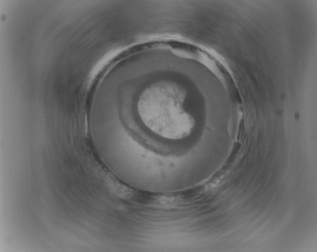 X0000075901271200609221928