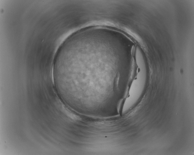 X0000075901272200609221928