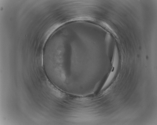 X0000075901276200609221928