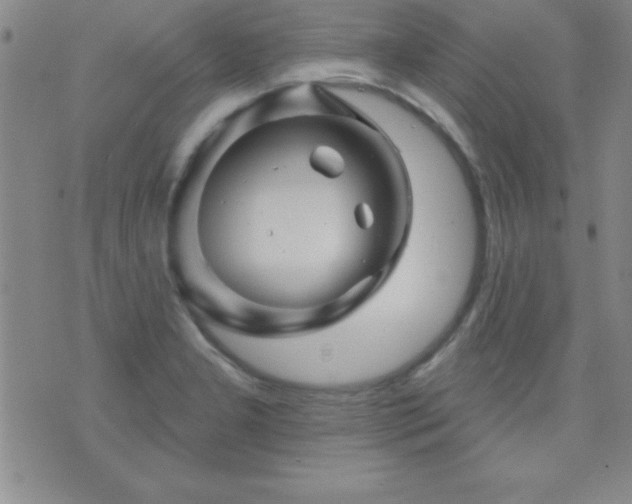 X0000075901277200609221927