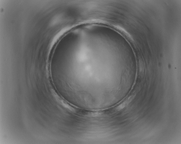 X0000075901278200609221927