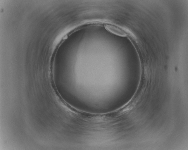 X0000075901279200609221927