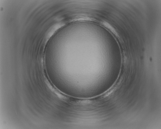 X0000075901282200609221927