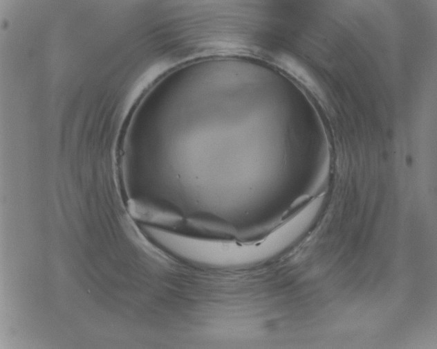 X0000075901283200609221927