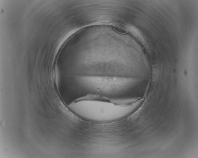 X0000075901284200609221927