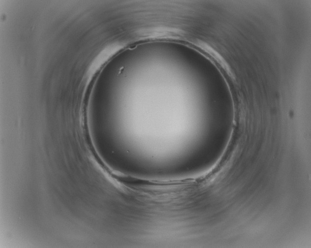 X0000075901285200609221927