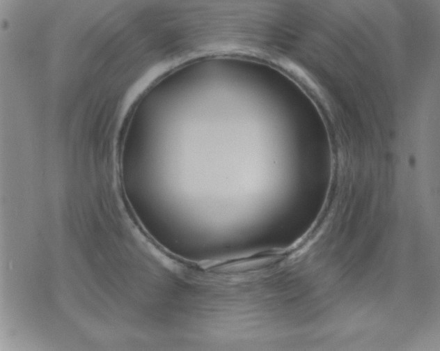 X0000075901286200609221927