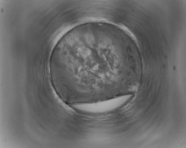 X0000075901287200609221927