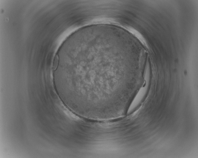 X0000075901288200609221927