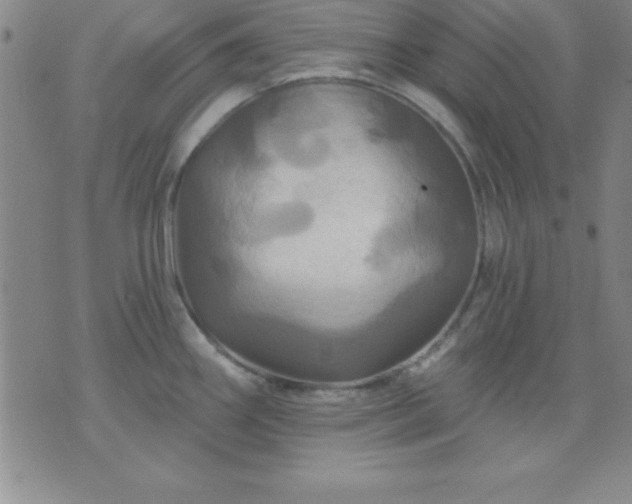 X0000075901290200609221927