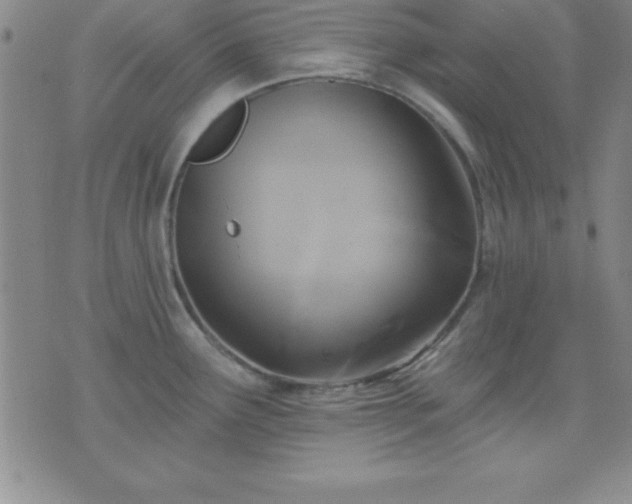 X0000075901291200609221927