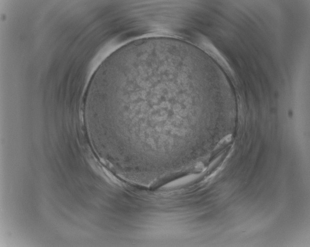 X0000075901292200609221927