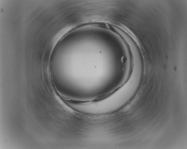 X0000075901293200609221927