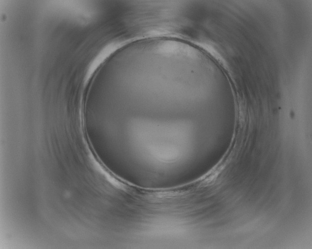 X0000075901294200609221927