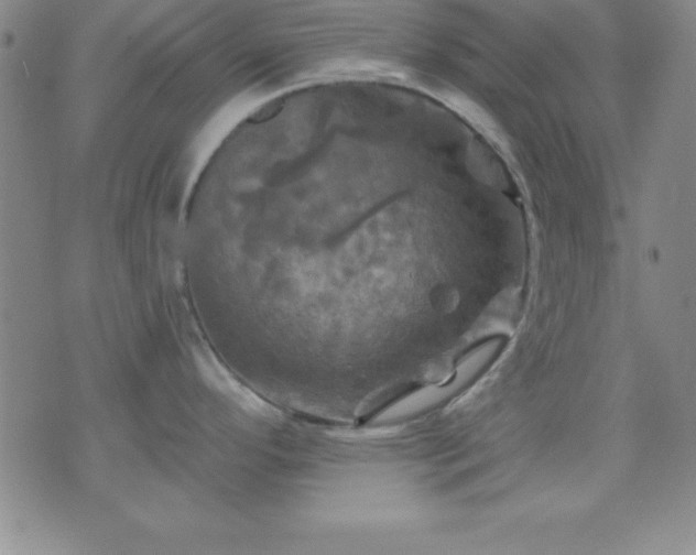 X0000075901296200609221927