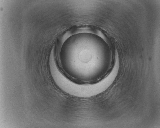 X0000075901297200609221926