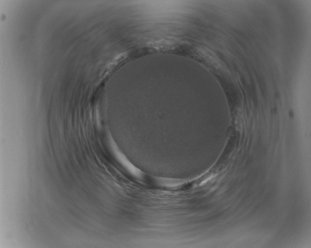 X0000075901298200609221926