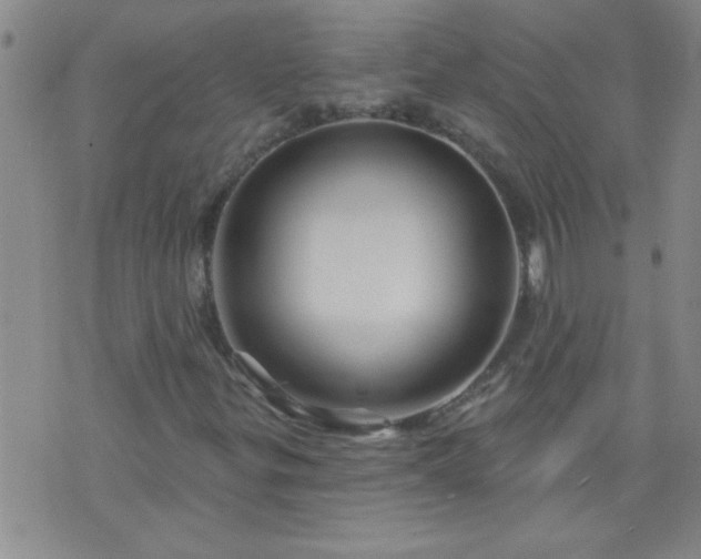 X0000075901299200609221926