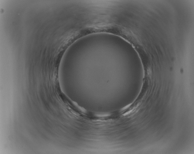 X0000075901300200609221926