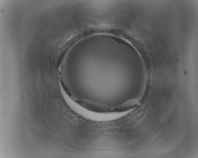 X0000075901301200609221926