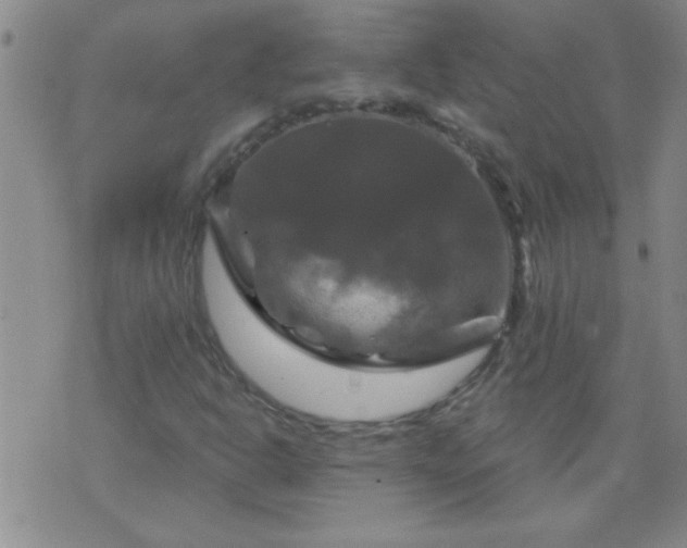 X0000075901302200609221926