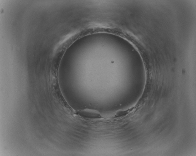 X0000075901303200609221926