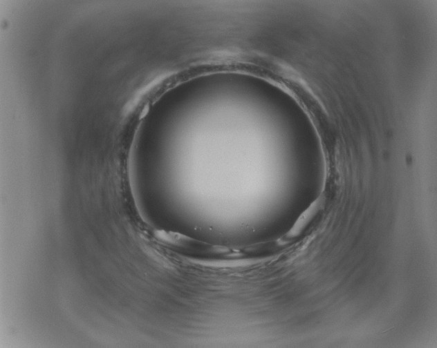 X0000075901304200609221926