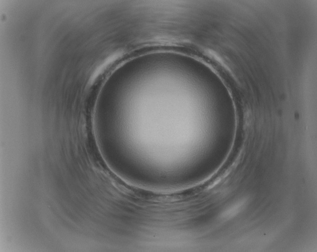 X0000075901307200609221927