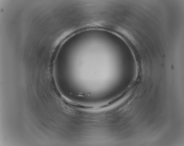 X0000075901308200609221927