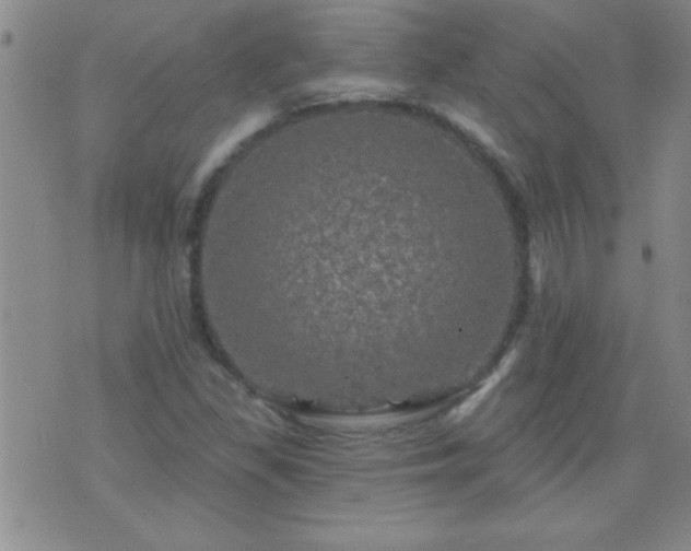 X0000075901309200609221927