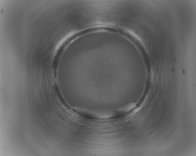 X0000075901310200609221927