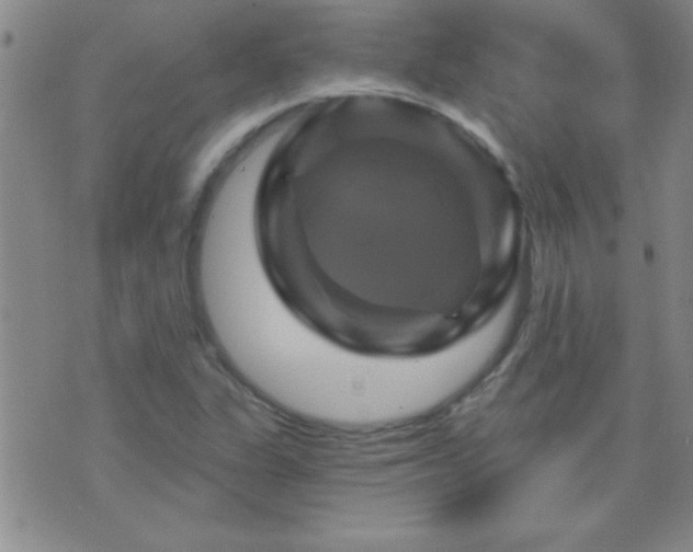 X0000075901311200609221927