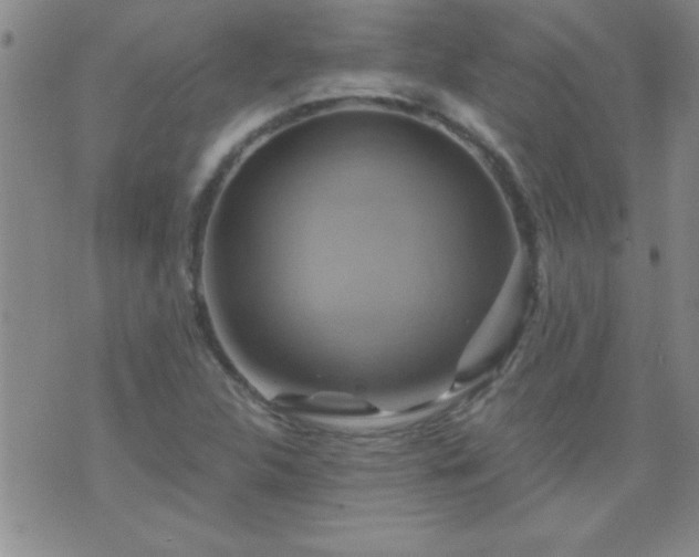 X0000075901312200609221927