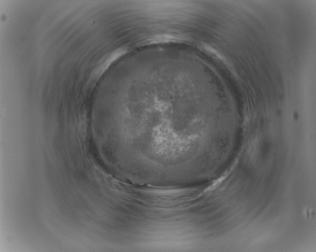 X0000075901313200609221927