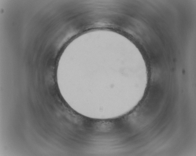 X0000075901314200609221927