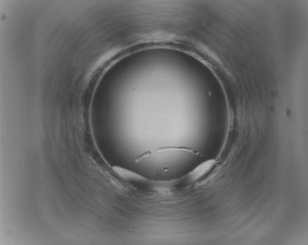 X0000075901315200609221927