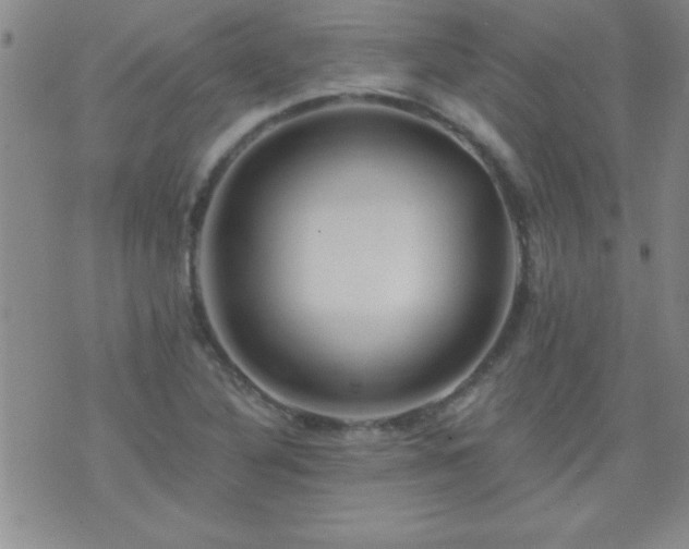 X0000075901316200609221927