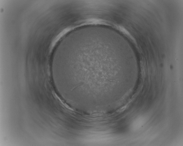 X0000075901318200609221927