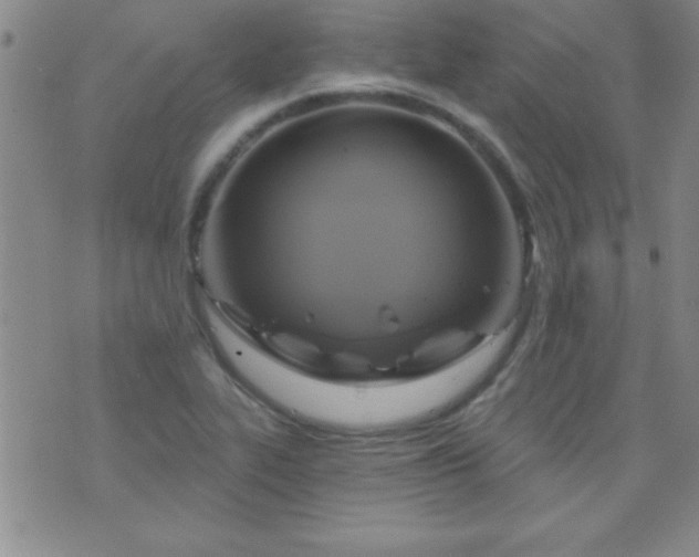 X0000075901319200609221927