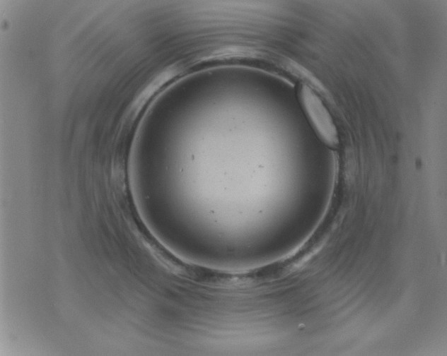 X0000075901321200609221927