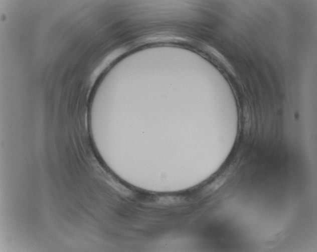 X0000075901322200609221927