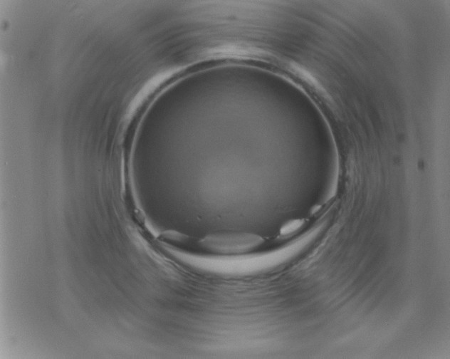 X0000075901323200609221927