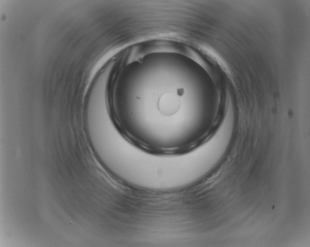 X0000075901324200609221927