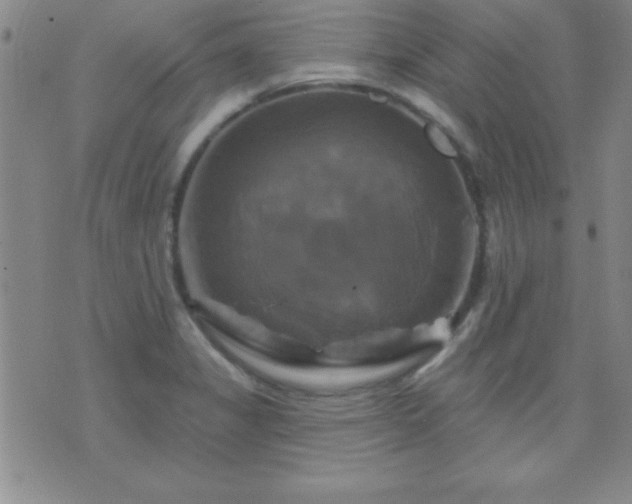 X0000075901325200609221927