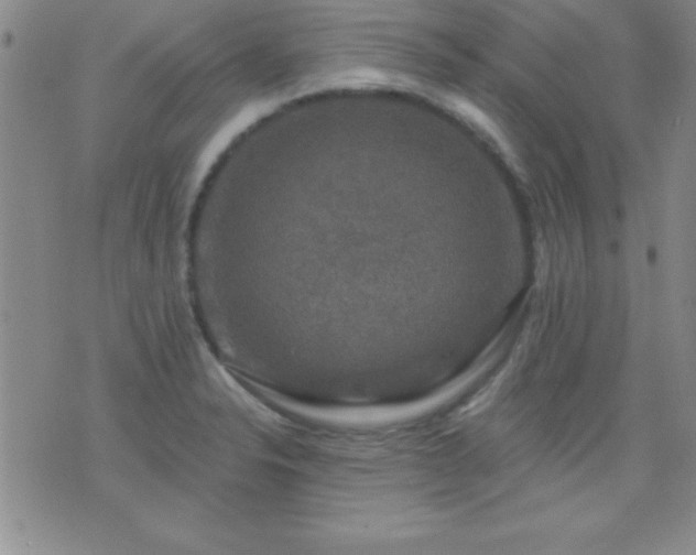 X0000075901326200609221927